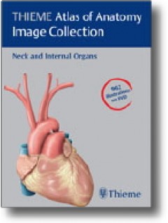 THIEME Atlas of Anatomy Image Collection--Neck and Internal Organs