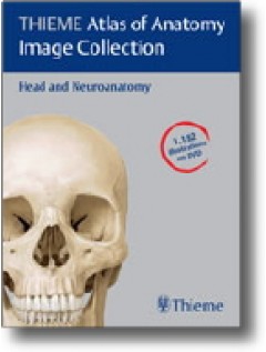 THIEME Atlas of Anatomy Image Collection--Head and Neuroanatomy