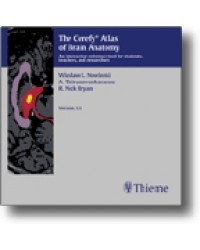 The Cerefy Â® Atlas of Brain Anatomy/CD-ROM