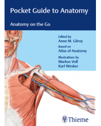 Pocket Guide to Anatomy