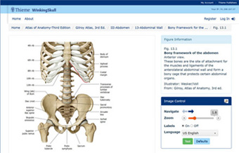 Atlas Of Anatomy Gilroy Torrent